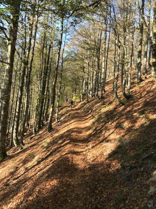 La Magie Entre Deux Lacs Villa Gérardmer Buitenkant foto