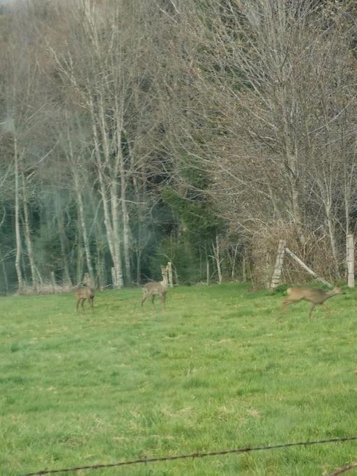 La Magie Entre Deux Lacs Villa Gérardmer Buitenkant foto