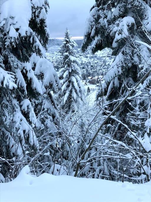 La Magie Entre Deux Lacs Villa Gérardmer Buitenkant foto
